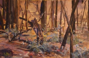 New growth, new hope -Kinglake